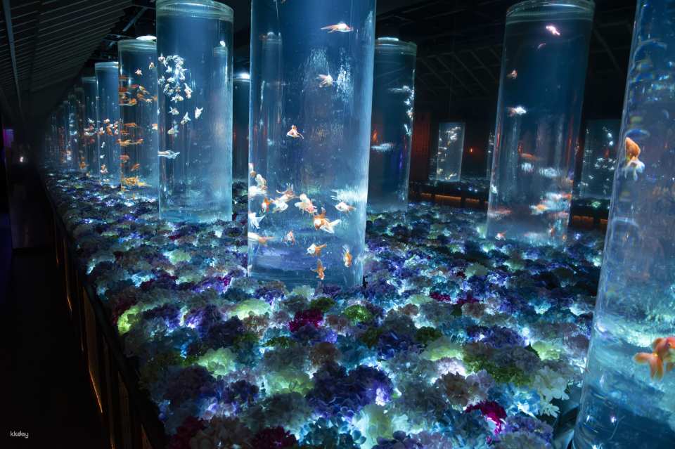 Ginza Art Aquarium + Tokyo Metro 24-Hour Pass
