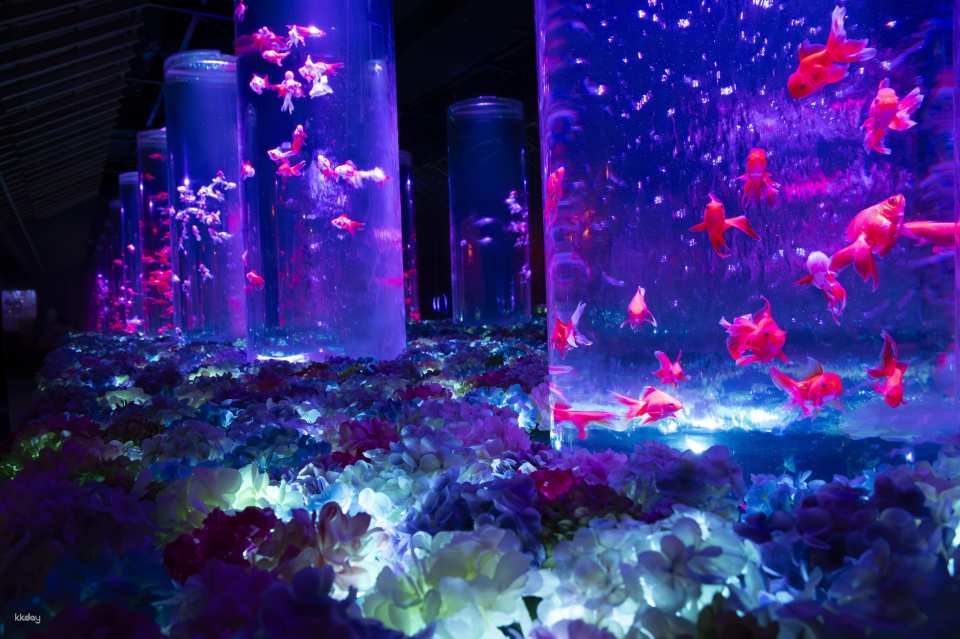 Ginza Art Aquarium + Tokyo Metro 24-Hour Pass