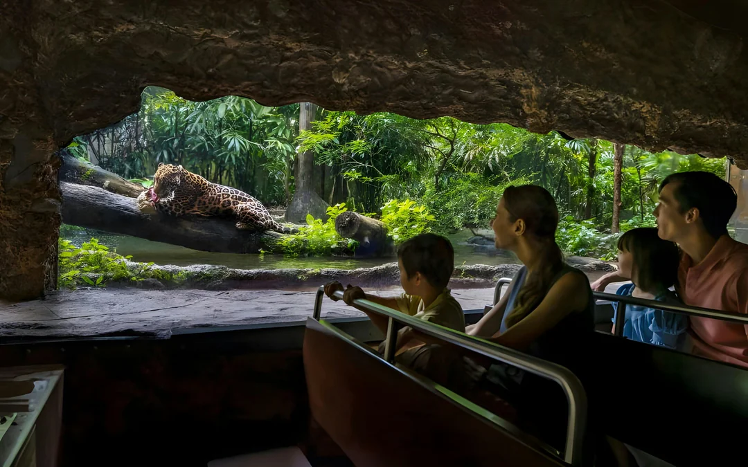Glamping in the Wild: Reservoir Retreat at Mandai Wildlife Reserve Image 12