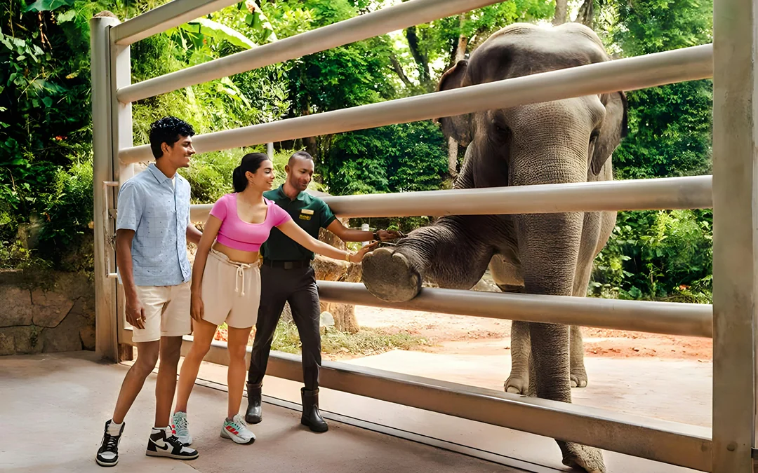 Glamping in the Wild: Reservoir Retreat at Mandai Wildlife Reserve Image 3