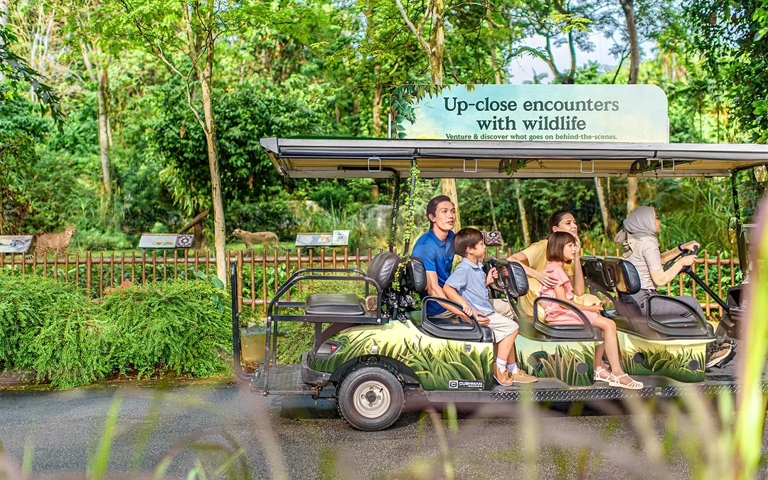 Glamping in the Wild: Reservoir Retreat at Mandai Wildlife Reserve Image 4