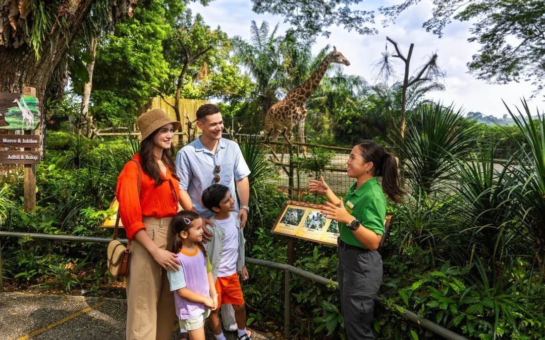 Glamping in the Wild: Reservoir Retreat at Mandai Wildlife Reserve Image 6