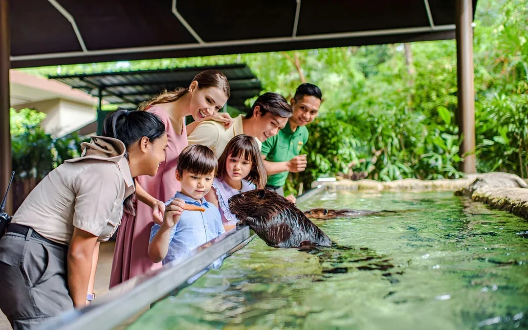 Glamping in the Wild: Reservoir Retreat at Mandai Wildlife Reserve Image 7