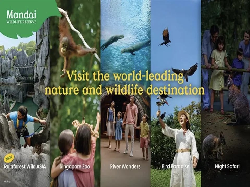 Mandai Wildlife Reserve: Multi-park Destination Passes | Night Safari, Singapore Zoo, River Wonders, Bird Paradise & Rainforest Wild ASIA