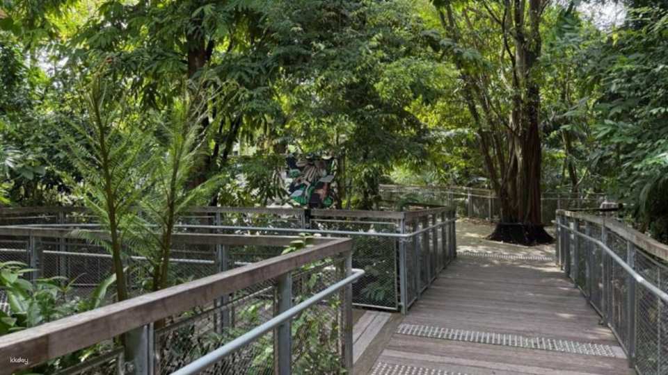 Mandai Wildlife Reserve: Multi-park Destination Passes | Night Safari, Singapore Zoo, River Wonders, Bird Paradise & Rainforest Wild ASIA