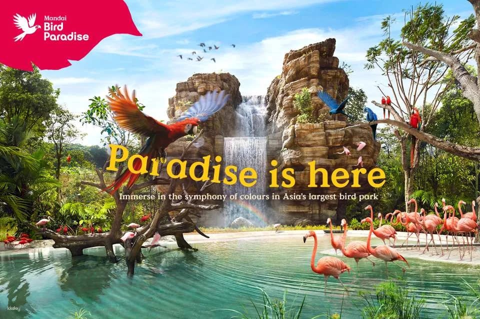 Mandai Wildlife Reserve: Multi-park Destination Passes | Night Safari, Singapore Zoo, River Wonders, Bird Paradise & Rainforest Wild ASIA