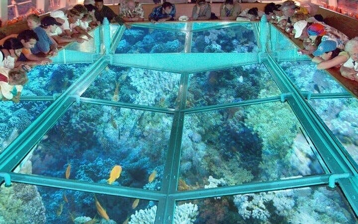 Glass Boat Sea Trip 1 hour With Parasailing - Sharm El Sheikh Image 4