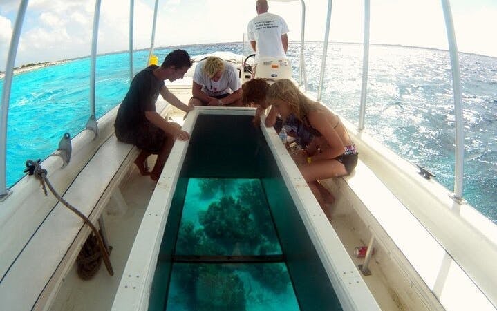 Glass Boat Sea Trip 1 hour With Transportation - Sharm El Sheikh Image 2