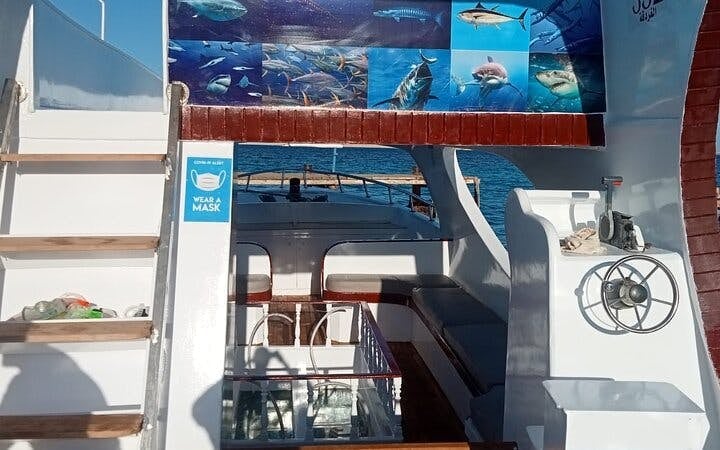 Glass Boat Sea Trip 1 hour With Transportation - Sharm El Sheikh Image 8