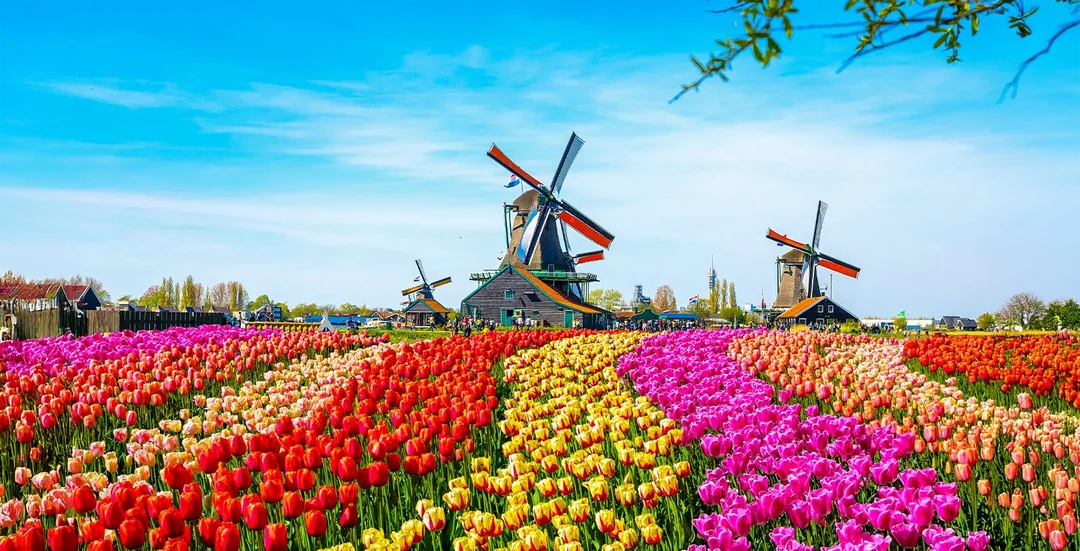 Go City Amsterdam Essential Pass: Access to 3 Top Attractions Image 5