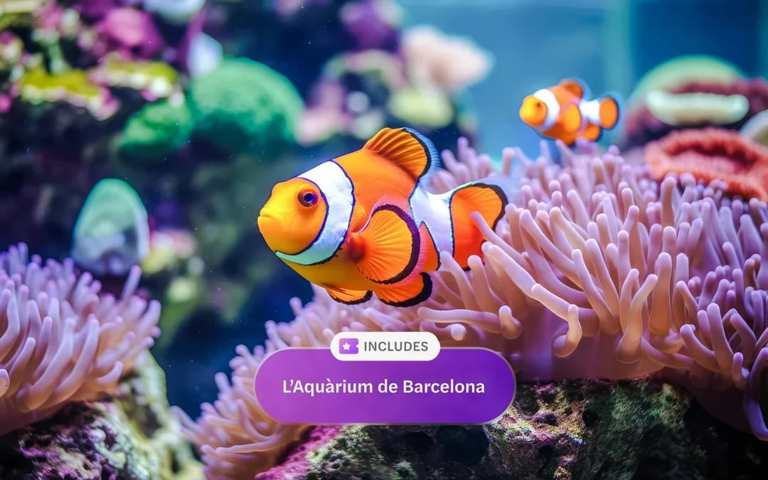Go City Barcelona All Inclusive Pass: Access to 40+ Attractions Image 6