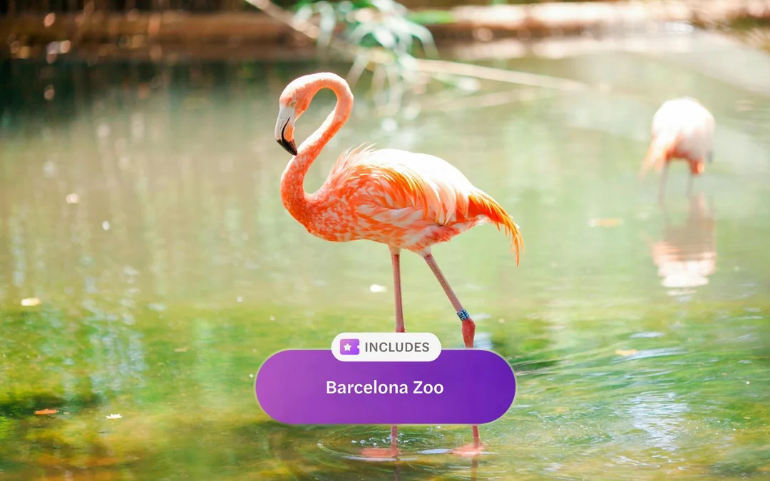 Go City Barcelona Explorer Pass: Choose from 45 Attractions Image 10