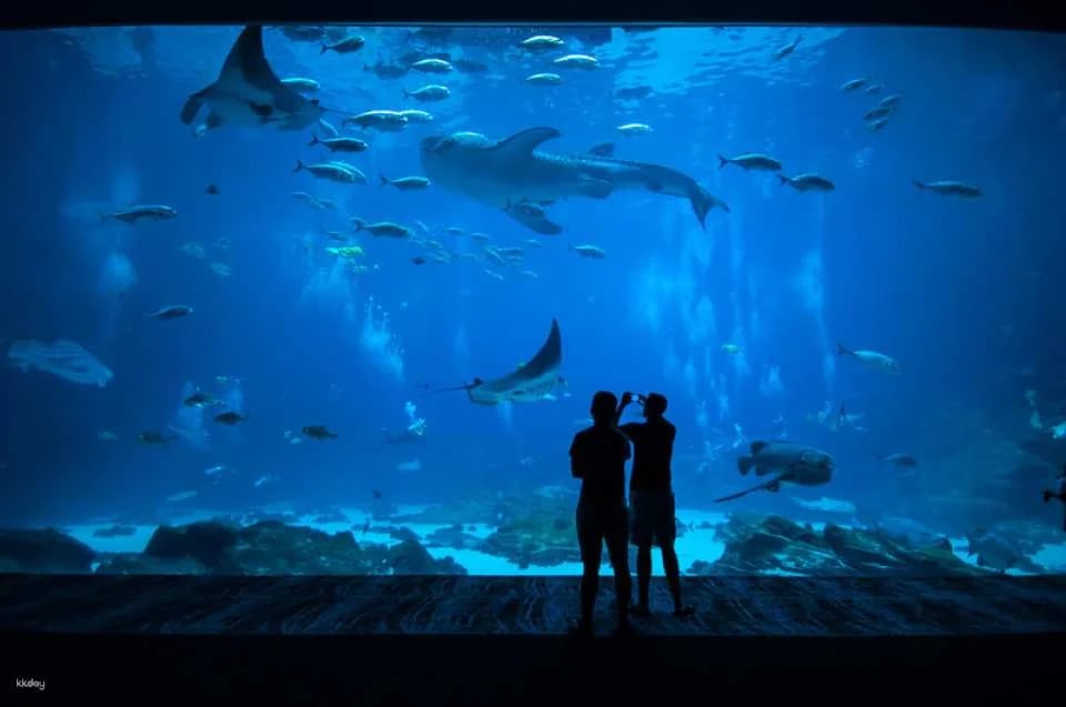 Go City | Boston Explorer Pass (Optional Attractions)