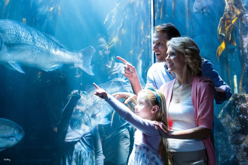 Go City | Chicago All-Inclusive Pass