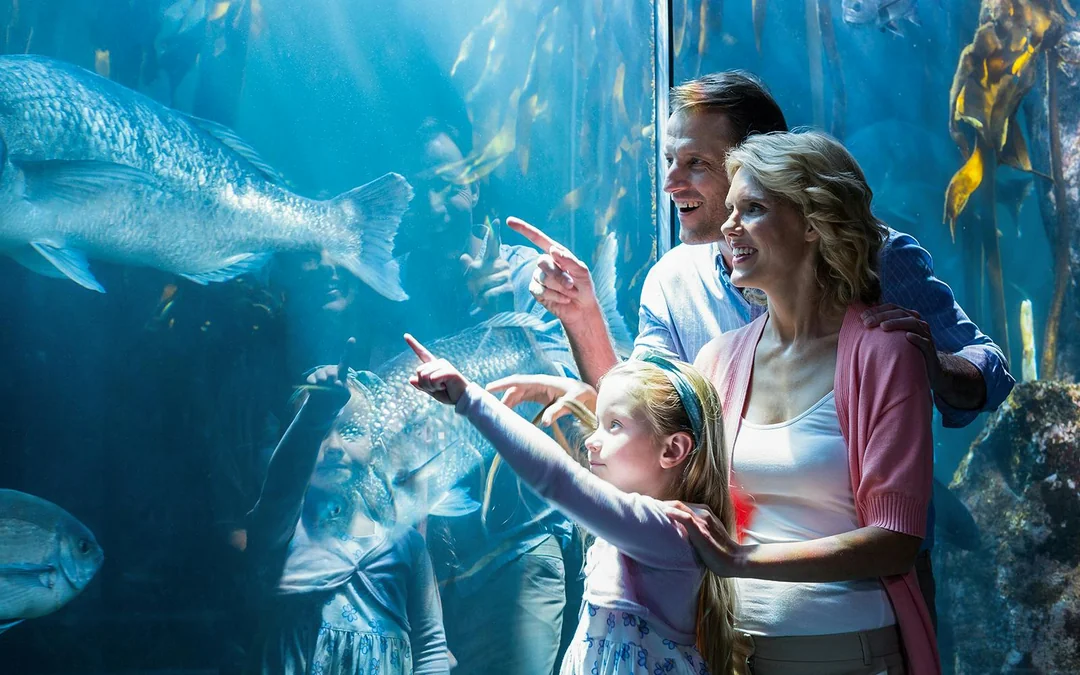 Go City Chicago Explorer Pass: Choose from 39 Attractions Image 5