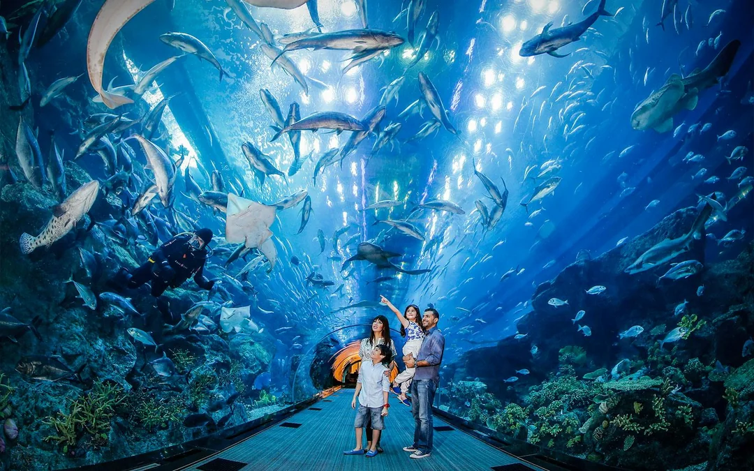 Go City Dubai All-Inclusive Pass: Choose 2 to 7-Day Pass Image 4
