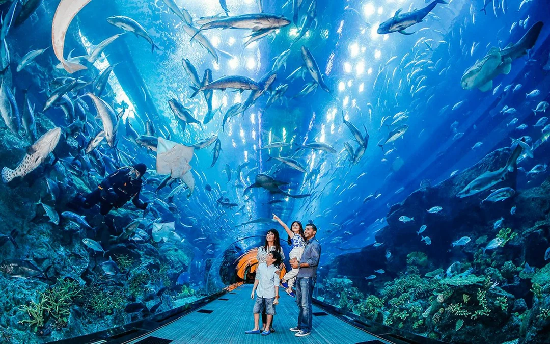 Go City Dubai Explorer Pass: Choose 3 to 7 Attractions Image 4