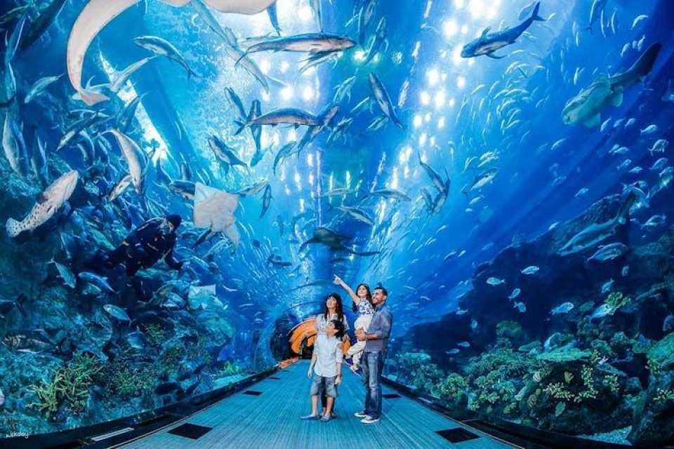 Go City | Dubai Highlights Pass to 3 to 10 attractions