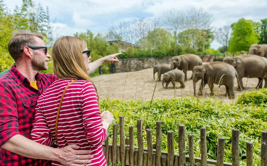 Go City Dublin Explorer Pass: Choose from 34 Attractions Image 12