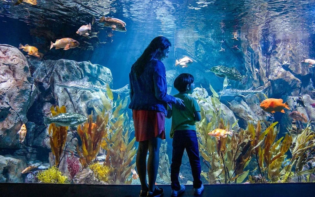 Go City Los Angeles All-Inclusive Pass: Choose 2 to 7 Days Image 6