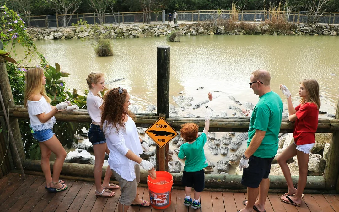 Go City Miami All-Inclusive Pass: Choose from 35 Attractions Image 3
