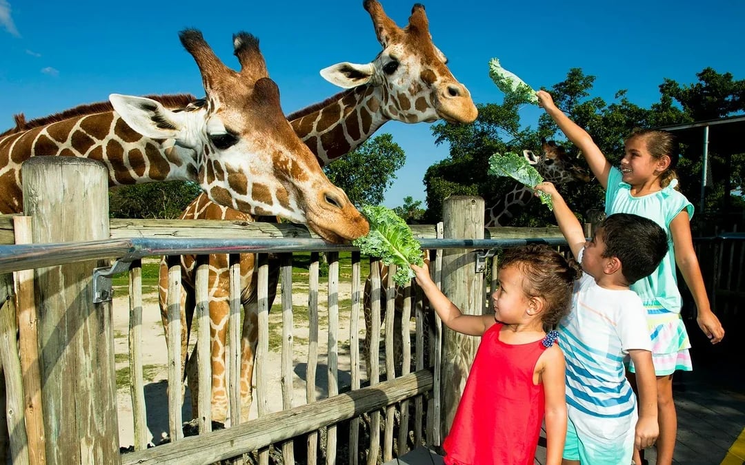 Go City Miami All-Inclusive Pass: Choose from 35 Attractions Image 9