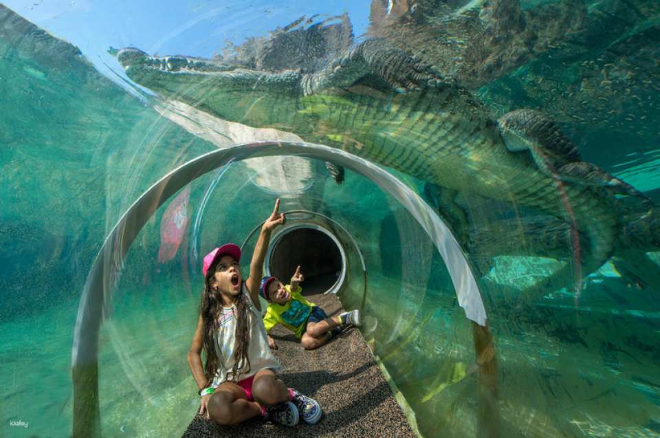 Go City | Miami All-Inclusive Pass