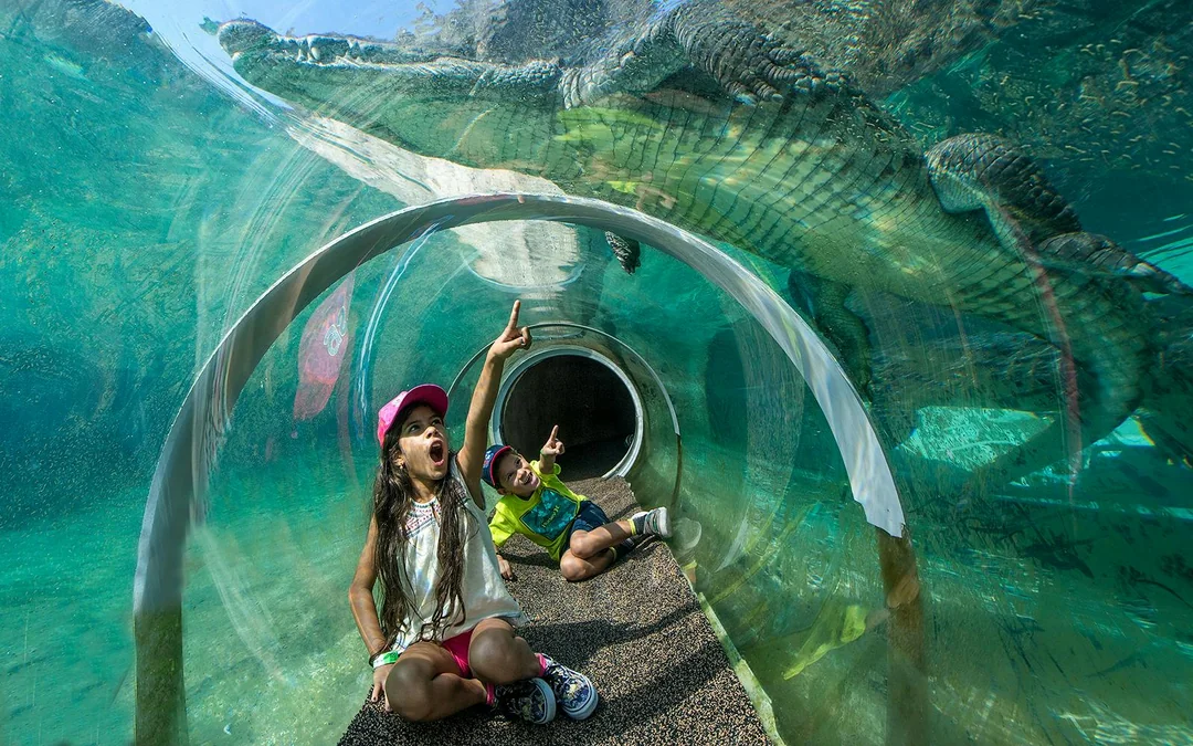 Go City Miami Explorer Pass: Choose from 40+ Attractions Image 5