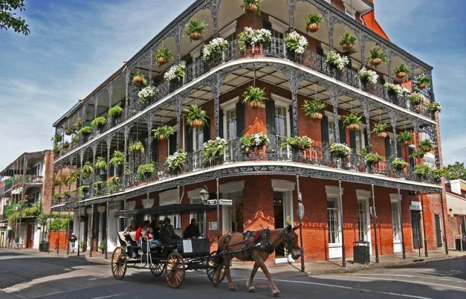 Go City | New Orleans All-Inclusive Pass (Optional Validity Period)