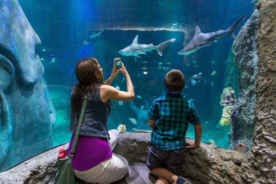 Go City | Orlando Explorer Pass (Optional Attractions)