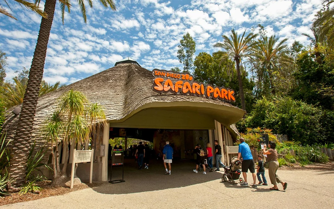 Go City San Diego All-Inclusive Pass: 45 Attractions Image 5