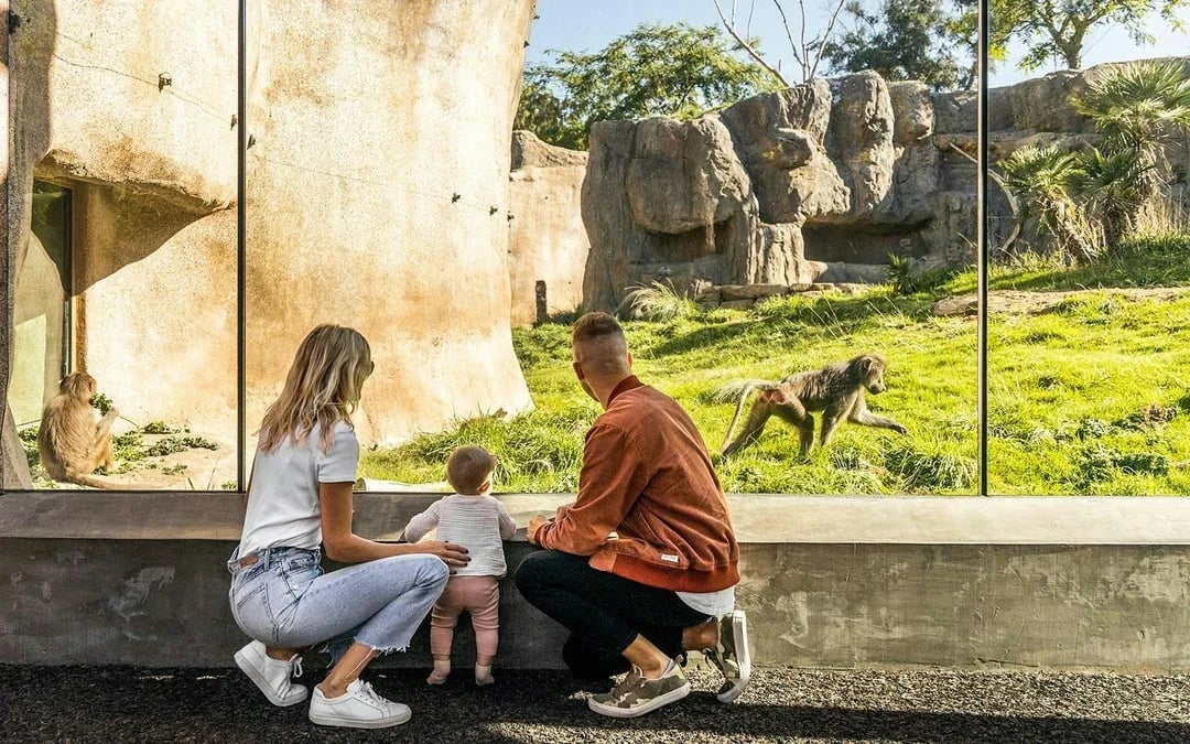 Go City San Diego Explorer Pass: Choose 2 to 7 Attractions Image 12