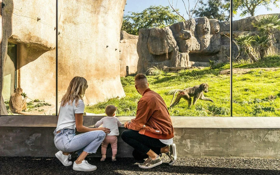 Go City San Diego Explorer Pass: Choose 2 to 7 Attractions Image 12