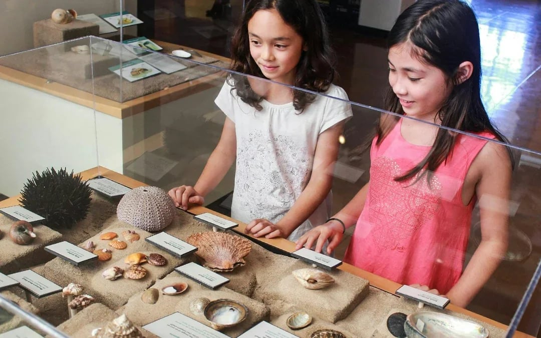 Go City San Diego Explorer Pass: Choose 2 to 7 Attractions Image 8