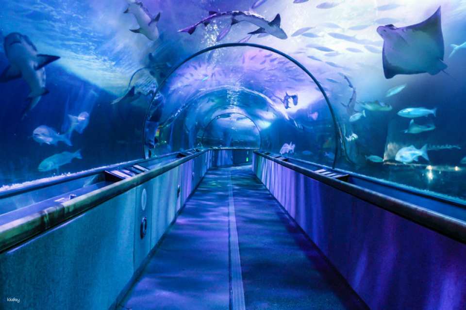 Go City | San Francisco All-Inclusive Pass
