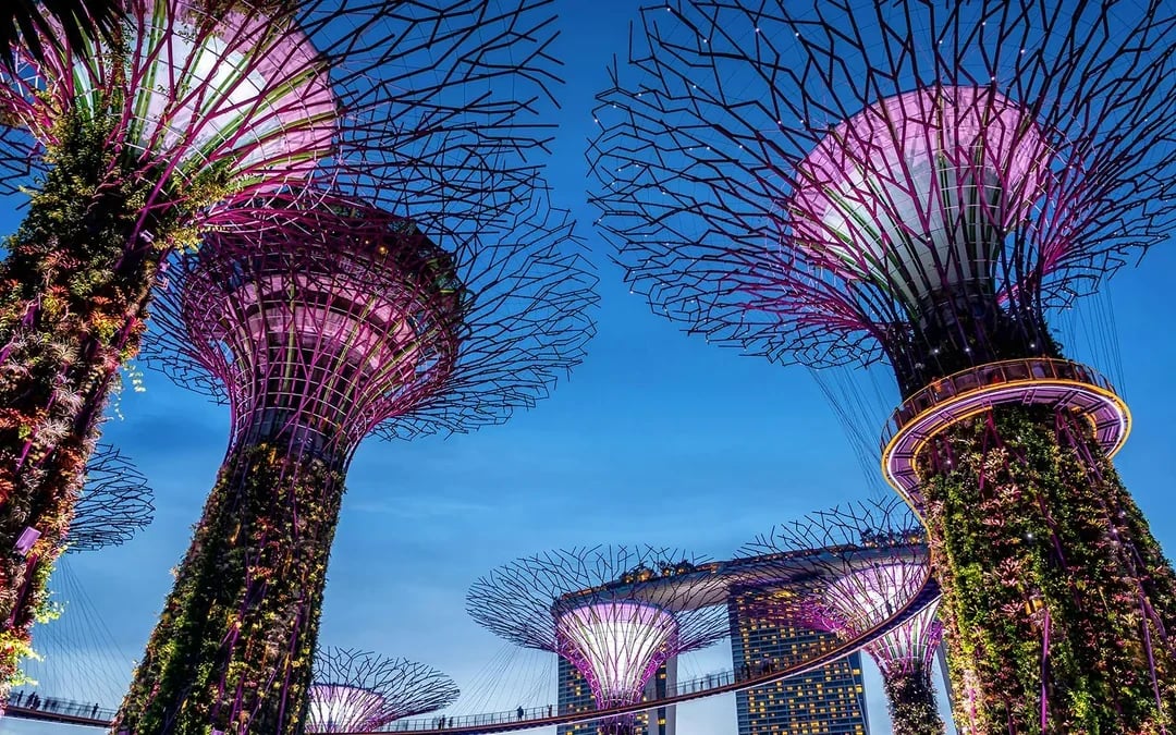 Go City Singapore All-Inclusive Pass: 2 to 7 Days Image 5