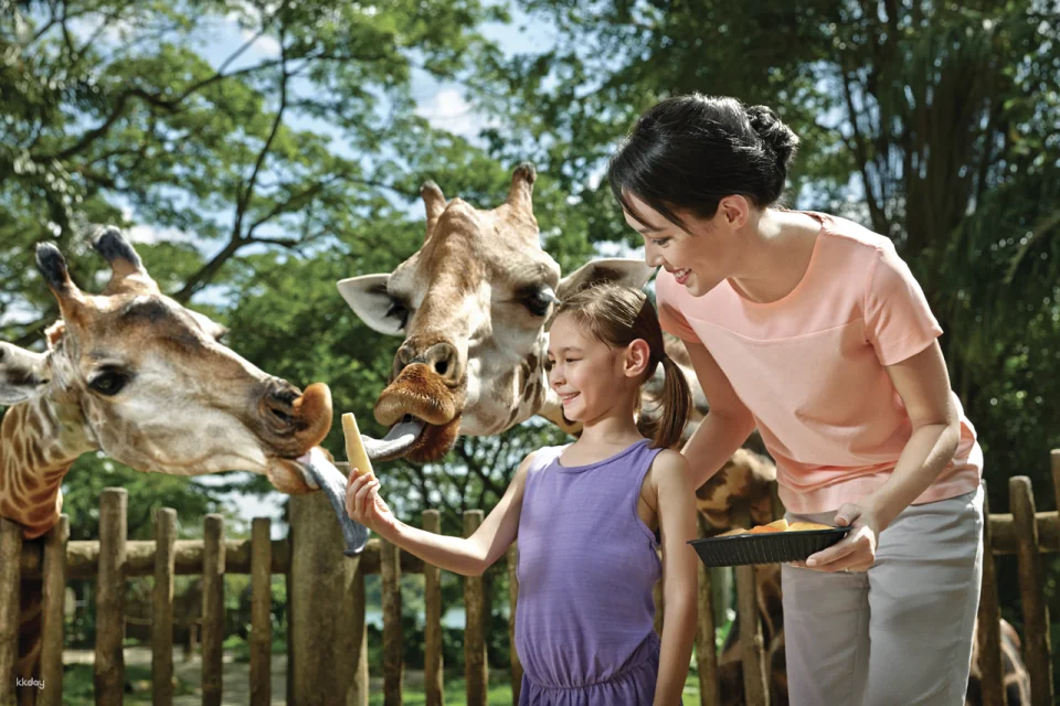 Go City: Singapore All-Inclusive Pass (Includes Universal Studios 1-Day Ticket)
