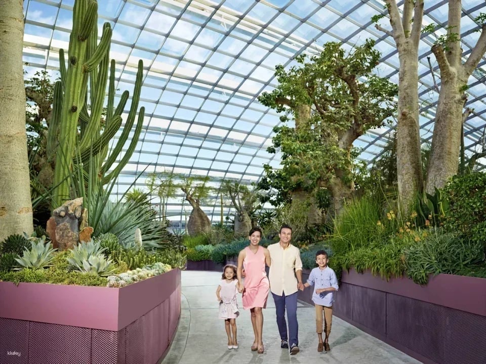 Go City: Singapore All-Inclusive Pass (Includes Universal Studios 1-Day Ticket)
