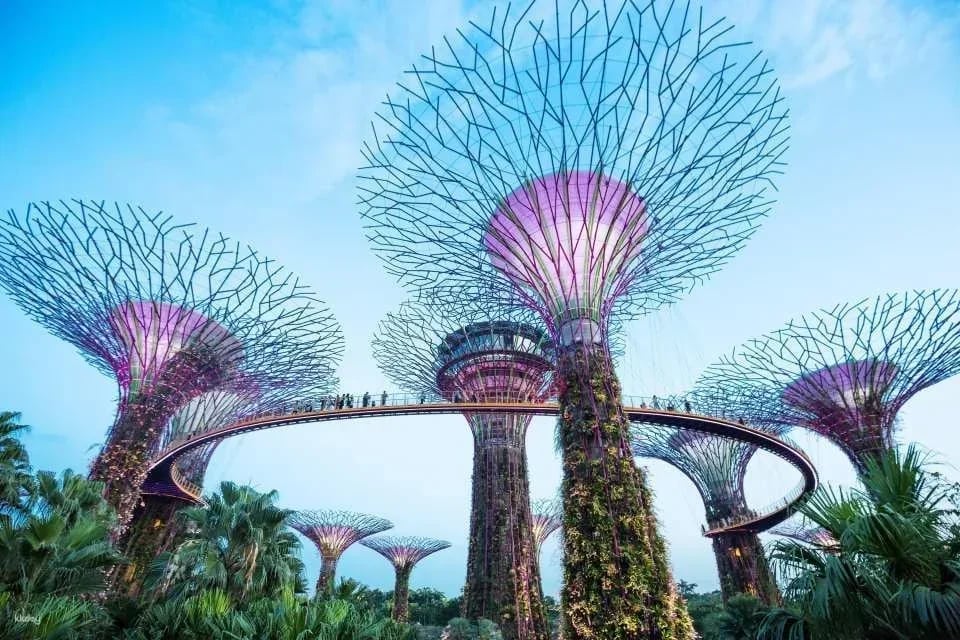 Go City | Singapore Essentials Pass: Visit 3 Top Attractions