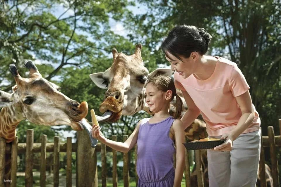 Go City | Singapore Essentials Pass: Visit 3 Top Attractions