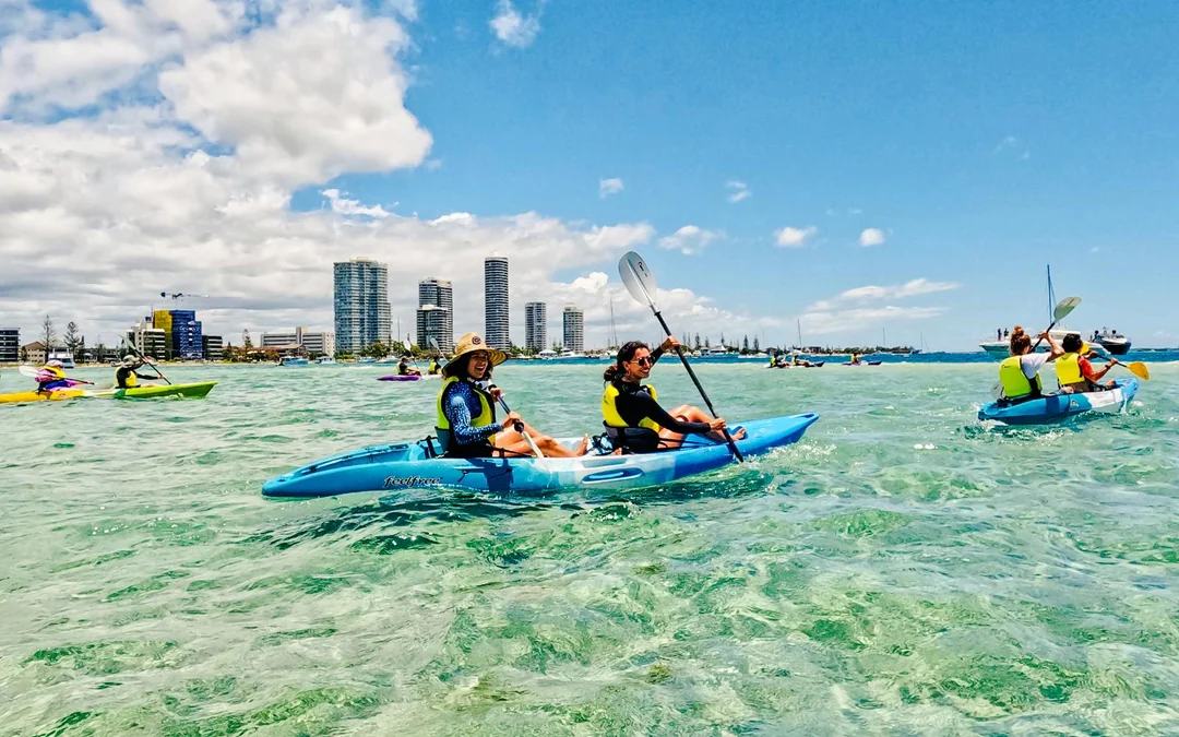Gold Coast Dolphin Kayaking & Snorkel Tour Image 3