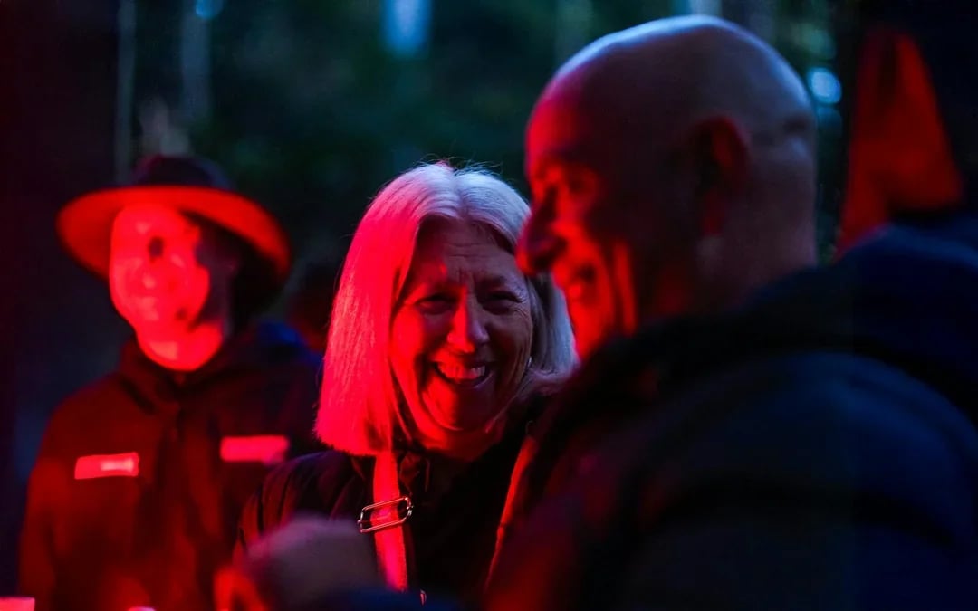Gold Coast: Mt Tamborine Rainforest Night Walk with Glow Worms & Waterfall Image 4