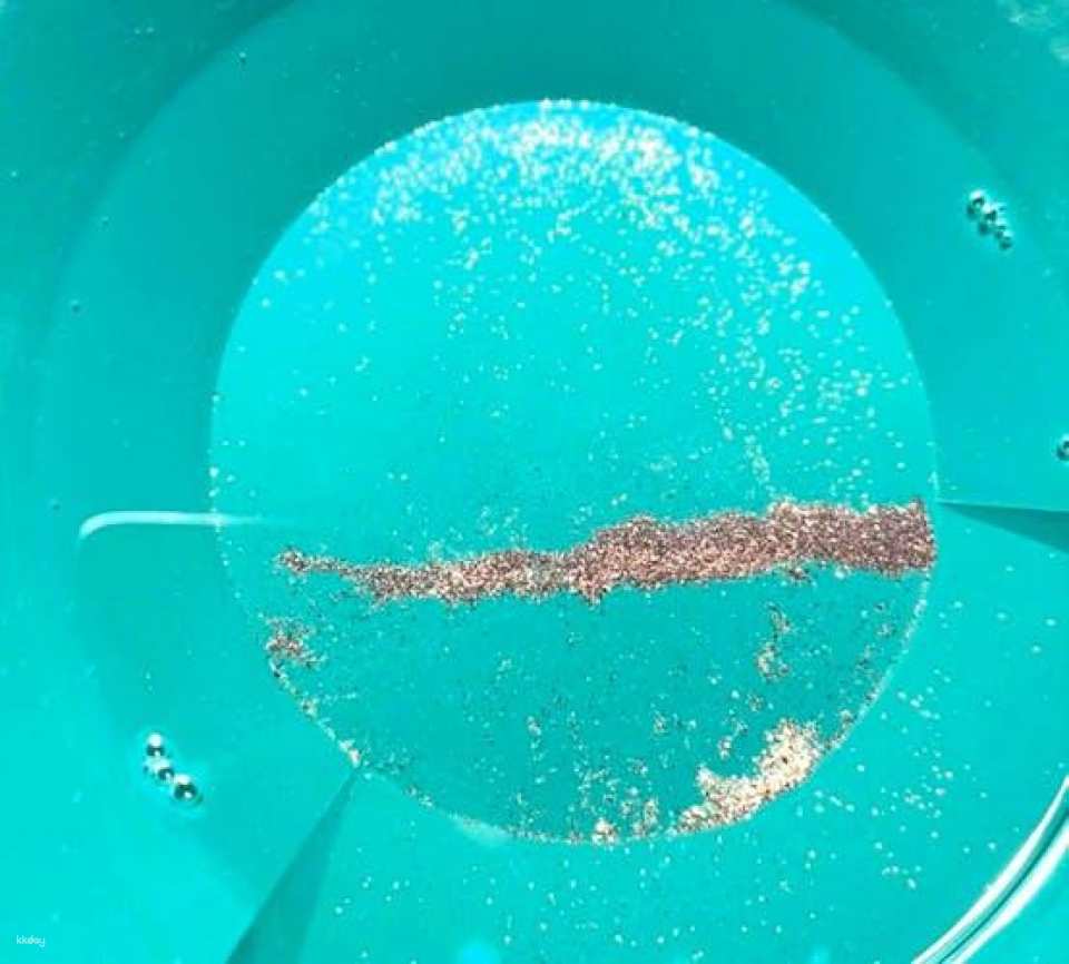 Gold panning adventure in Karlsruhe