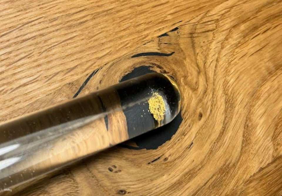Gold panning adventure in Karlsruhe