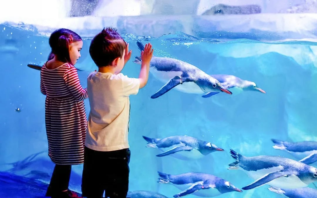 Golden Pass London: Choose from 10+ Attractions Image 8