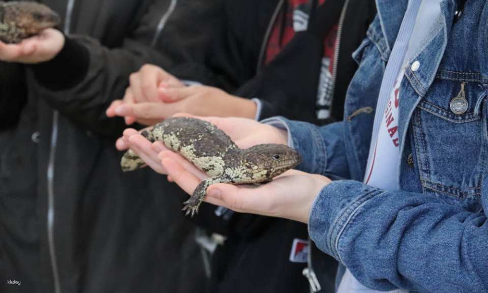 Gorge Wildlife Park General Admission Tickets | Adelaide