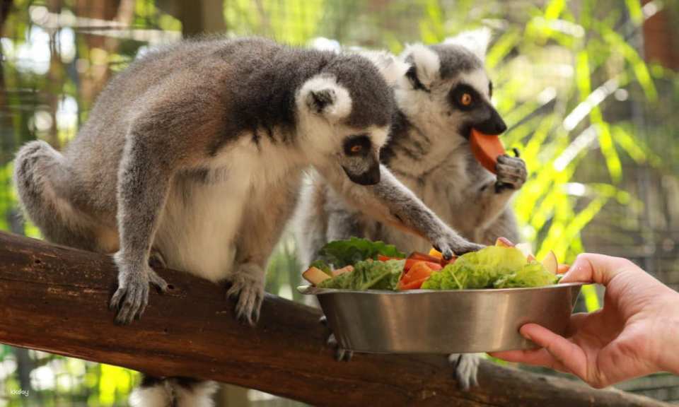 Gorge Wildlife Park General Admission Tickets | Adelaide