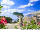 Okinawa Churaumi Aquarium Admission Ticket | Japan
