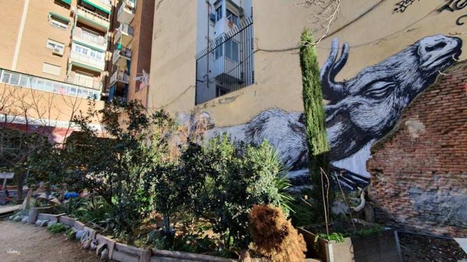 Graffiti and street art walking tour in Lavapiés district
