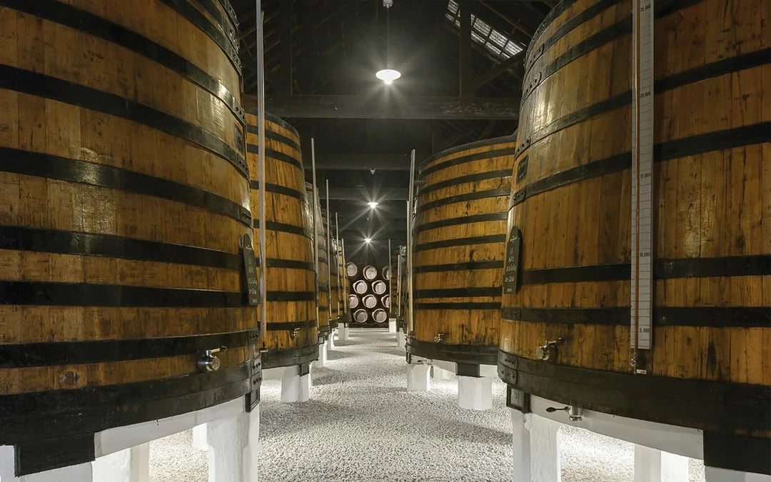 Graham's Port Lodge Guided Tour with Tasting Experience in the Vintage Room Image 8